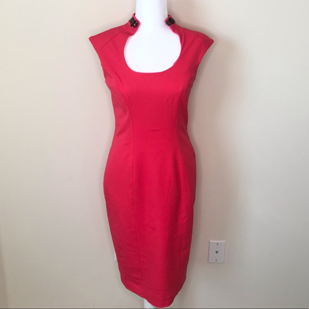 Cache Pink Dress